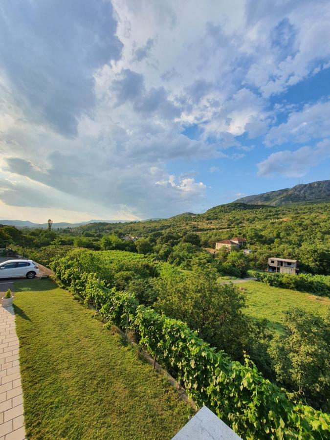 Apartament Djukic Winery Podgorica Zewnętrze zdjęcie