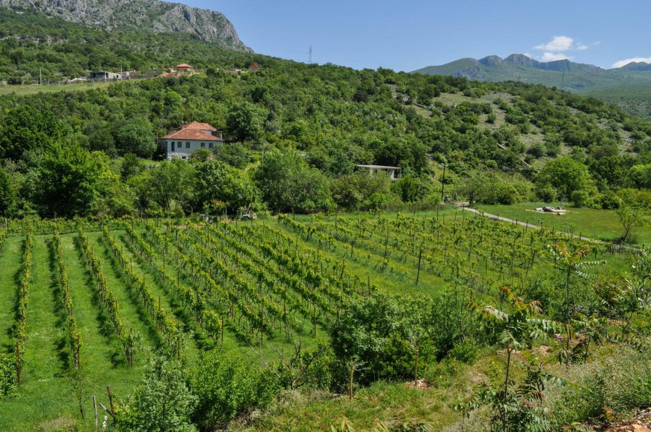 Apartament Djukic Winery Podgorica Zewnętrze zdjęcie